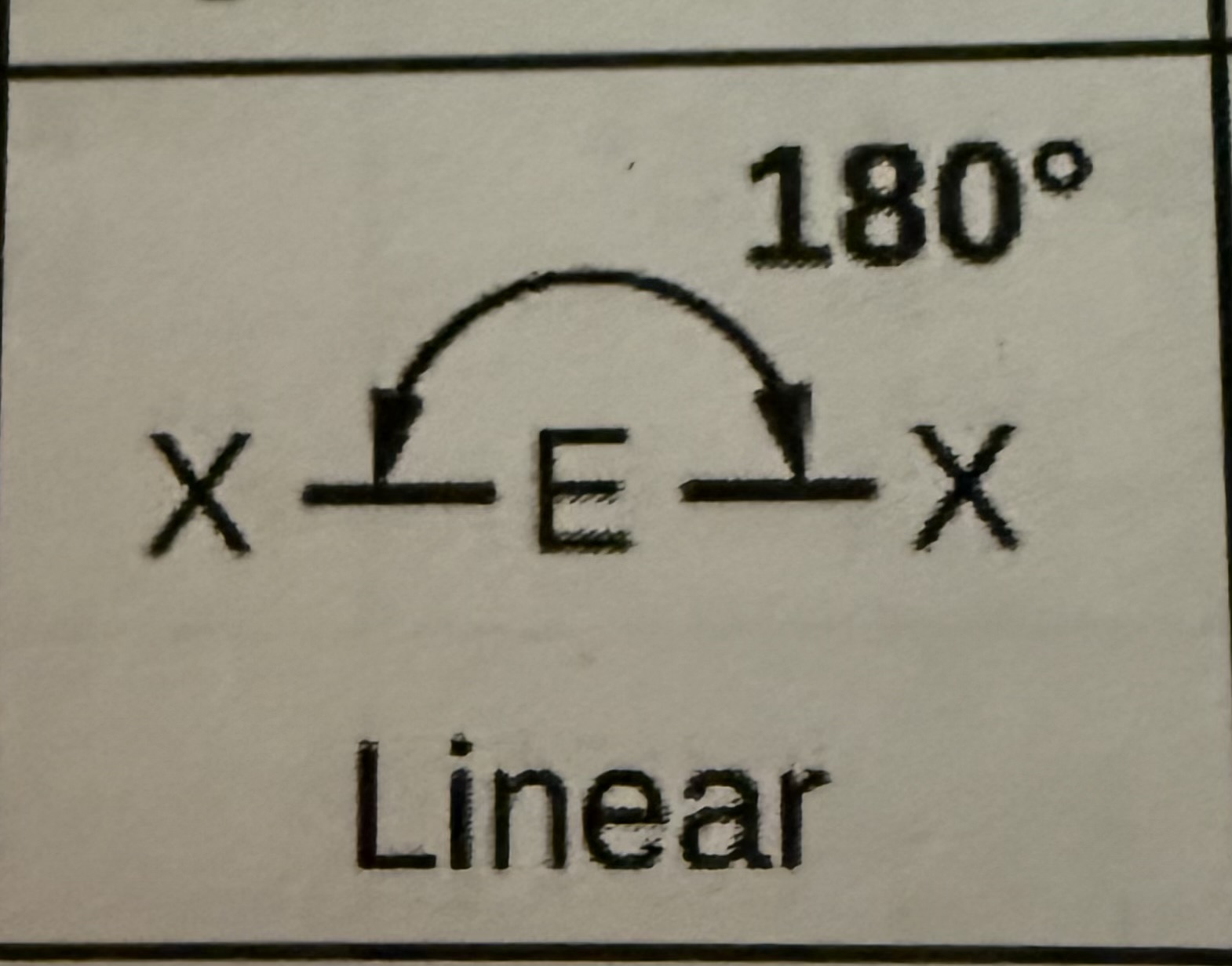 <p>Liner, 180 degree angle</p>
