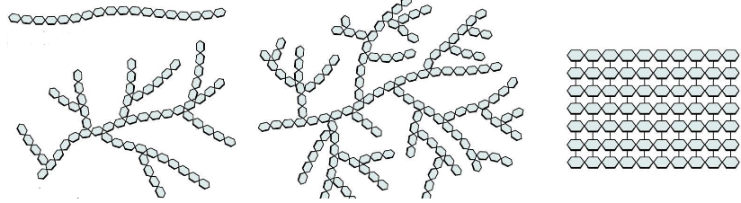<p class="MsoNormal">Polysaccharide</p>