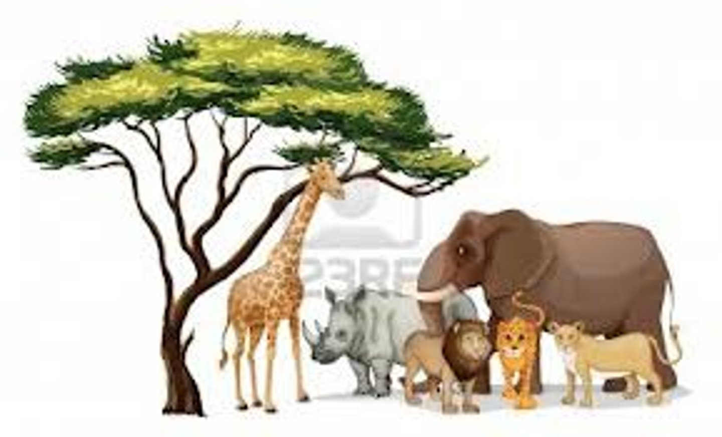 <p>A group of interdependent organisms inhabiting the same region and interacting with each other</p>