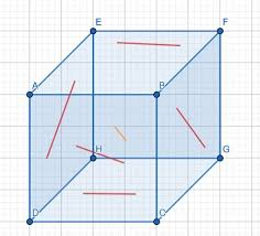 <p><span><span>two lines in three-dimensional space that are neither parallel nor intersecting</span></span></p>