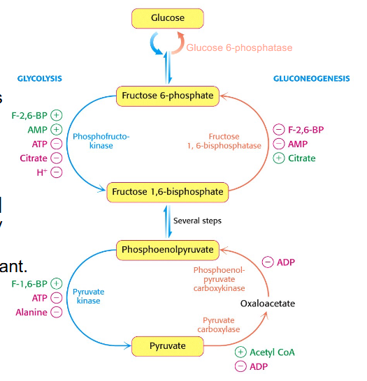 <p>Regulation</p>