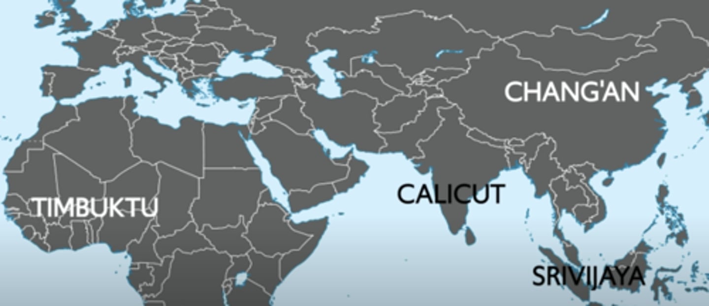 <p>●All depended on the establishment of large states for their existence and flourishing. Best example: Mongol Control of the Silk Road which increased safety.</p><p>-when these trade</p><p>routes were well protected by large states in cooperation with one another, merchants felt safe to travel there</p><p>●All led to new innovations in navigational technology &amp; helped spread it. Examples: the magnetic compass, lateen sail, the sternpost rudder, &amp; saddles for camels and horses made trade along these routes far more manageable and profitable</p><p>●All led to shared culture. Examples: religions like Christianity, Islam &amp; Buddhism spread by missionaries, monks, and marchants who all traveled the routes.</p><p>●All led to the spread of agricultural products. Example: Champa rice from Vietnam to China. Indonesian merchants introduced bananas from Southeast Asia to Africa, which lead to a large-scale migration of these bantu-speaking people</p><p>●All led to the growth of trade cities which formed because they were at the convergence of all those trading routes. </p><p>Examples: </p><p>-Chang’an in China (Silk Roads)</p><p>-Calicut in India &amp; </p><p>-Srivijaya in Southeast Asia (Indian Ocean</p><p>-Timbuktu and Mali (trans-Saharan)</p>