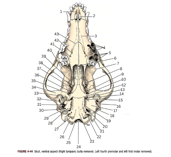 <p>28</p>