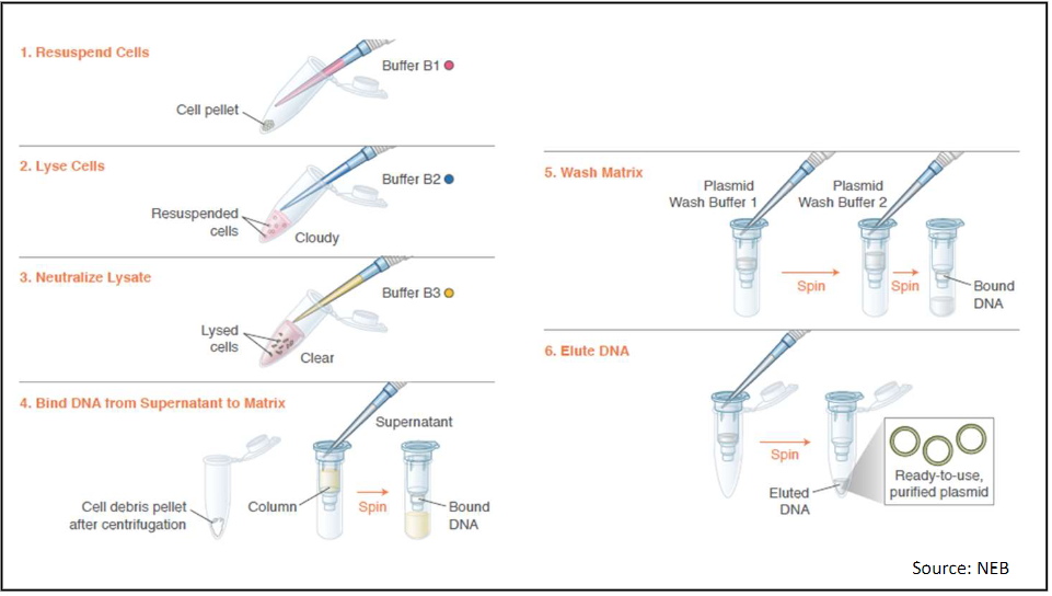 <p>The most straightforward and reliable techniques for purification of plasmid DNA</p><p>A quick method</p><p>This procedure is often described as a “miniprep”</p><p>It yields about 1 μg of DNA, which is enough for many analytical purposes</p>
