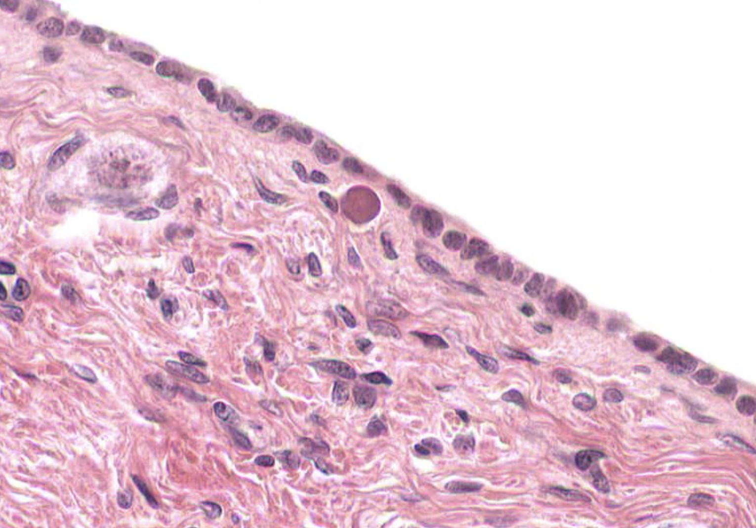 <p>what is this image showing? </p>