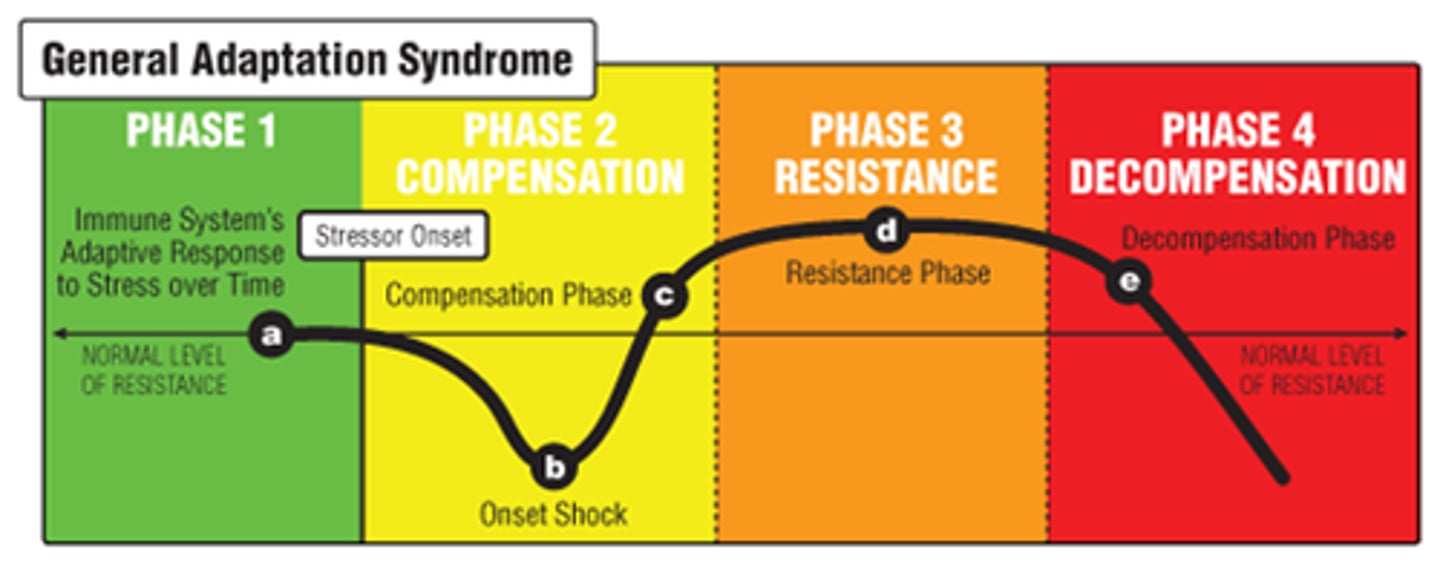 <p>A consistent pattern of physical responses to a stress that consists of three stages<br>-Alarm<br>-Resistance<br>-Exhaustion</p>