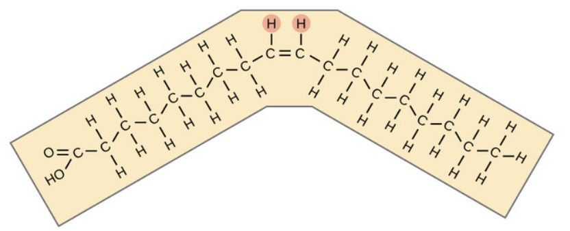 <p>What is this?&nbsp;</p>