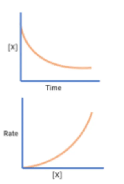 <p>Determine the order of reaction in respect to a specific reactant as seen in these graphs</p>