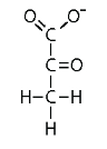 <p>A molecule generated during glycolysis. Glycolysis usually generates 2 _____ molecules as outlined during the first stage of cellular respiration.</p>