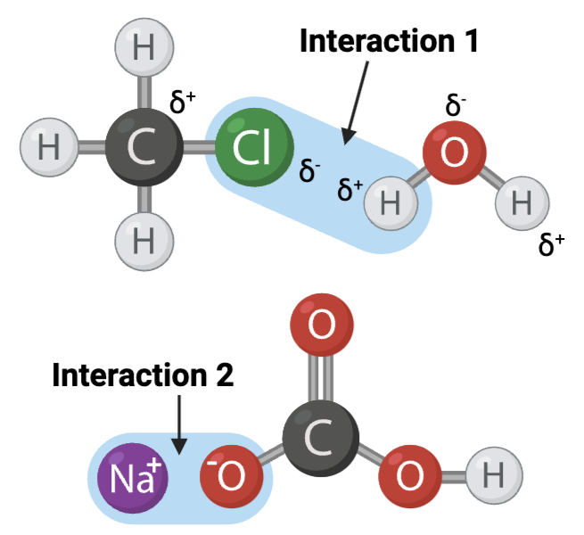 <p>The figure shows two interactions within or between molecules. An arrow points to each interaction.</p><p>Interaction 1 is ____?</p>