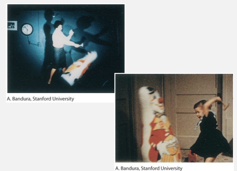 <p>When someone sees a behavior, they might try to model it </p><p>ex. mom is afraid of dogs, children see that mom is scared of dogs, therefore they are also afraid </p><p>hitting the clown experiment </p>