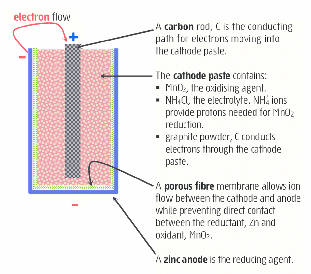 <p>•The zinc (<strong><em>reducing agent</em></strong>) coating serves as a container (inner case) and the <strong>anode</strong>.</p><p>•The <u>cathode </u>is a graphite rod made of carbon (conducts electricity to the surface of MnO<sub>2 </sub>particles within the <u>cathode</u>) surrounded by a paste of MnO<sub>2 </sub>(<em><u>oxidizing agent</u></em>)</p><p>•NH<sub>4</sub>Cl (serves as salt bridge needed in the <strong>reduction </strong>of MnO<sub>2</sub>) carbon powder, and a small amount of water.</p><p>-The ammonium ions are problematic as over time, their acidic nature causes the zinc <strong>anode </strong>to dissolve into forming Zn2+ ions and result to dry cells limited life span</p>