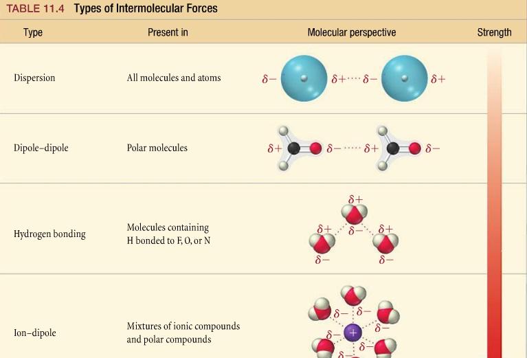 <p>london dispersion forces, dipole-dipole, and hydrogen bonding; forces that mediate interactions between molecules </p>