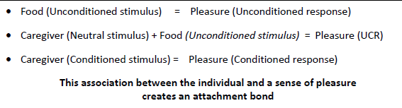 <p>In the case of attachment, the pleasure of food (UCS) becomes associated with the caregiver who feeds the infant (NS) → Through classical conditioning this person becomes a source of pleasure even when there is no feeding → The neutral stimulus (caregiver) has become a conditioned stimulus and now the sight of the caregiver alone produces the conditioned response of pleasure</p>