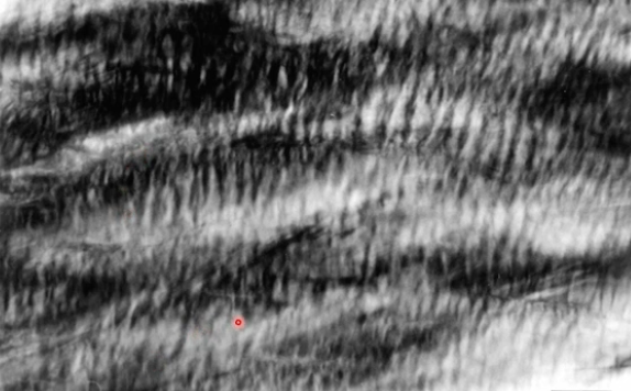<p><span>What is the primary role of synovial fluid in the TMJ?</span></p>
