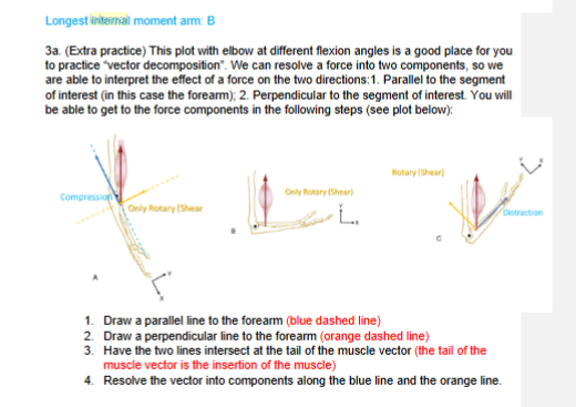 <p>The component vector acting along the parallel line will result in a distraction/compression force (blue vector). How to differentiate whether this component vector will be distraction or compression force?<br></p><p>a. When the arrow head is pointing toward the hand, this component vector is pulling the forearm “away” from the joint center (i.e. AOR) distraction (example: C)<br>b. When the arrow head is pointing toward the joint center, this<br>component vector is pulling the forearm “toward” the joint center (i.e. AOR)  compression (example: A)</p><p>The component vector acting along the perpendicular line will result in a<br>rotary/shear force. (orange vector)</p><p><br></p>