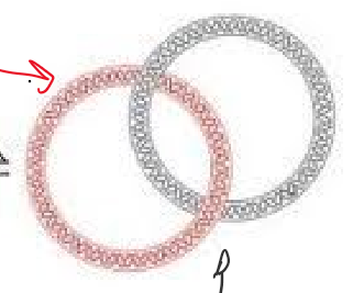 <p>What type of topoisomerase was used</p>