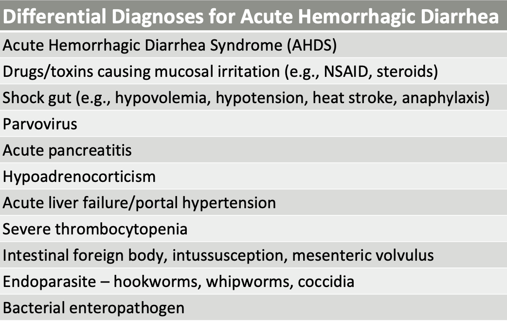 <p>-AHDS</p><p>-drugs/toxins</p><p>-shock gut</p><p>-parvovirus</p><p>-acute pancreatitis</p><p>-addison's</p><p>etc</p>
