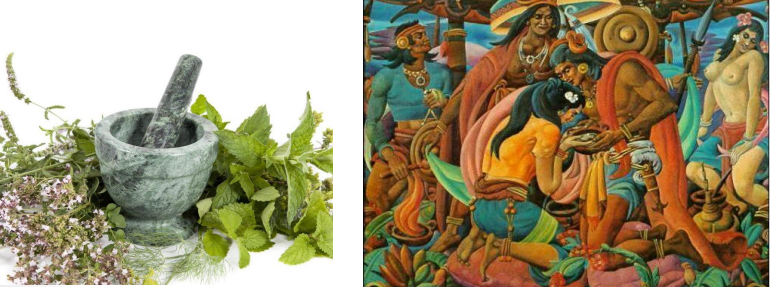 <p>✓natives of the archipelago already had practices linked to science and technology</p><p>✓already aware of the medicinal and therapeutic properties of plants and the methods of extracting medicine from herbs</p>
