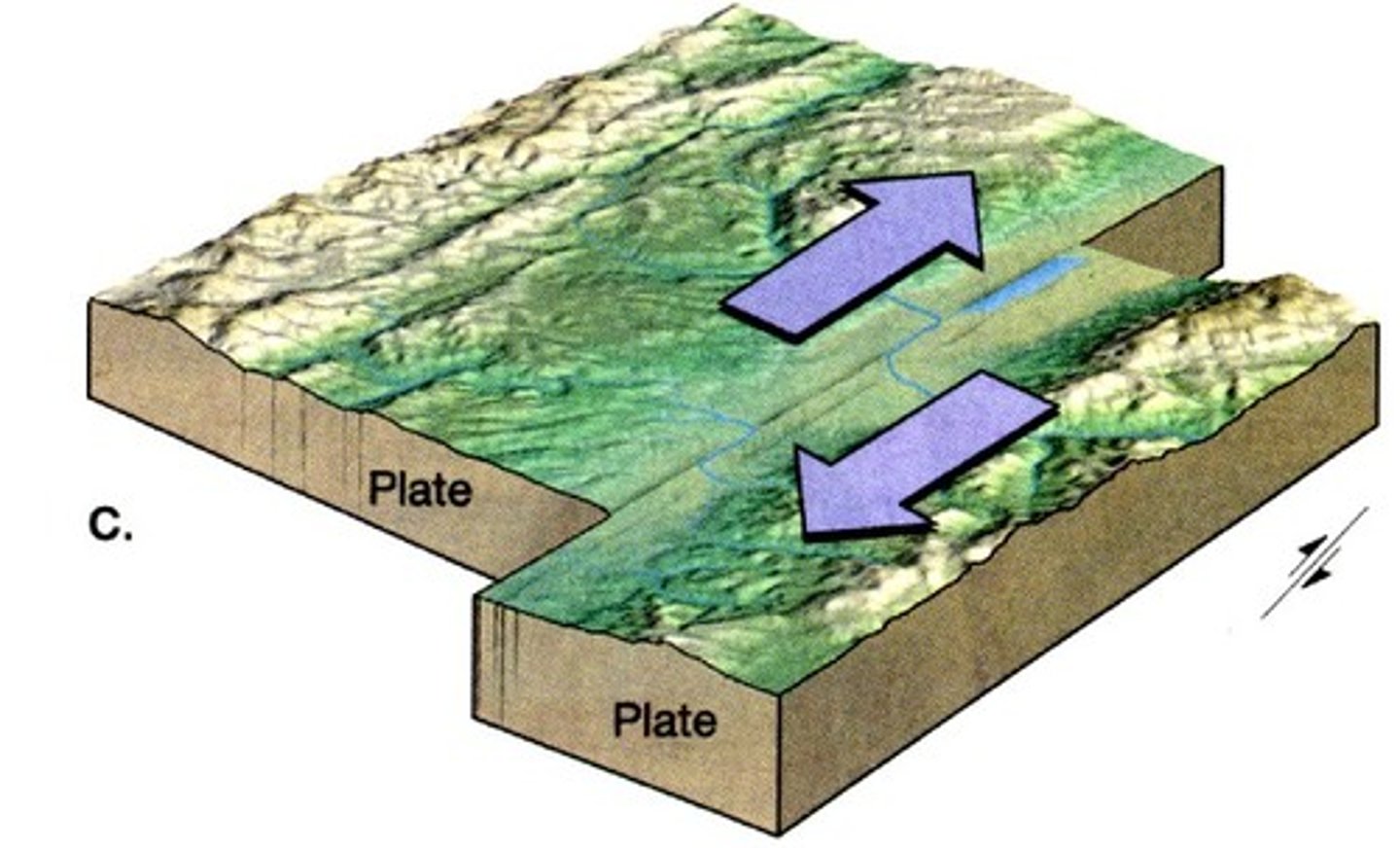 <p>plates sliding against one another, making earthquakes and fault lines</p>