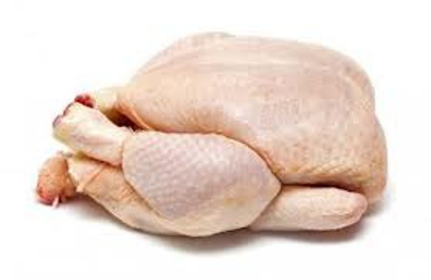 <p>chicken</p>