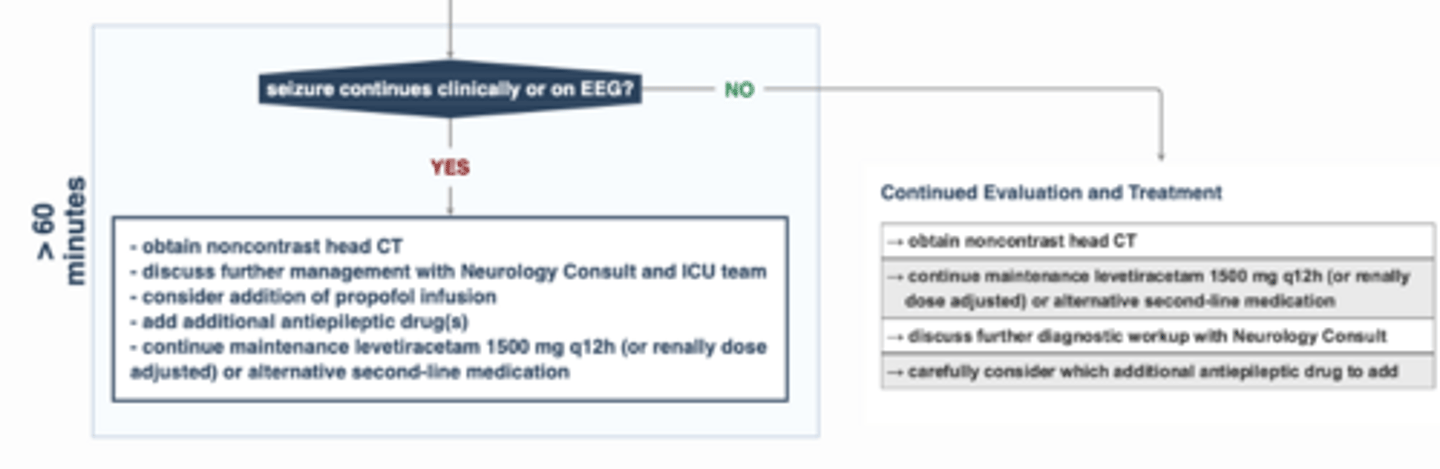 <p>Non contrast head CT </p><p>Add propofol or pentobarb with EEG</p>