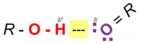 <ul><li><p>A lone pair of electrons associated with an electronegative atom. </p><ul><li><p>Must have a lone pair (O, N). </p></li></ul></li></ul><p></p>