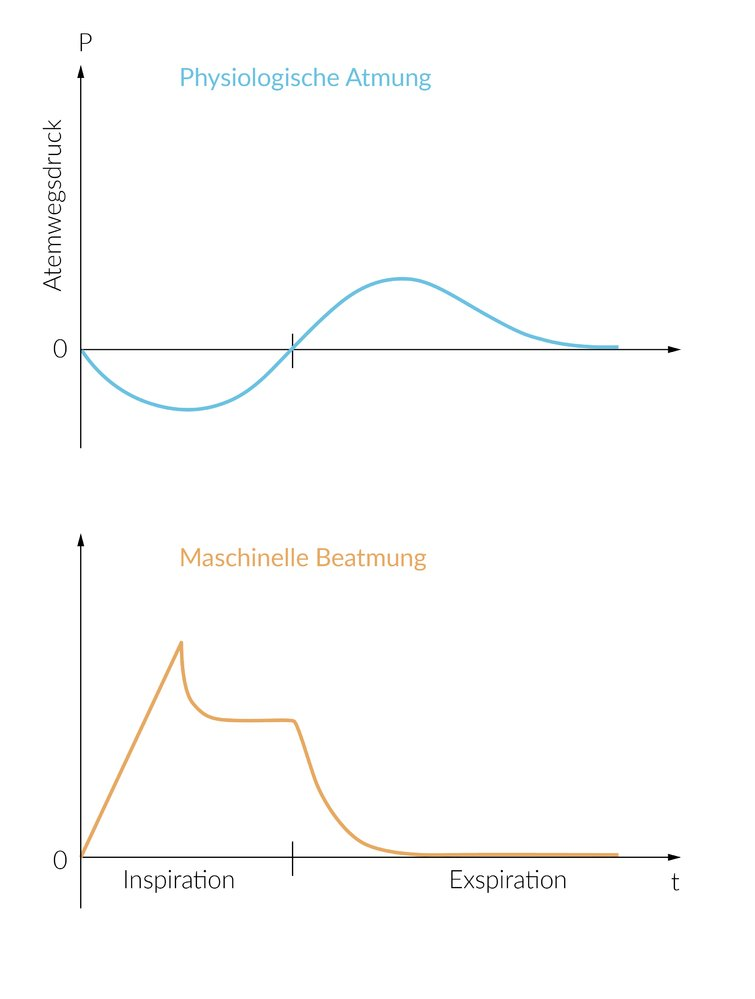 <p>E. d <span data-name="left_right_arrow" data-type="emoji">↔</span> f</p>