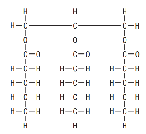 <ul><li><p>glycerol + 1-3 fatty acids (hydrocarbon + C=O)</p></li></ul><p>monomers of glycerol= monomers + fatty acid</p>