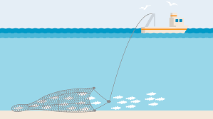 <p><span>a fishing method where heavy nets are dragged along the ocean floor to catch fish.</span></p>