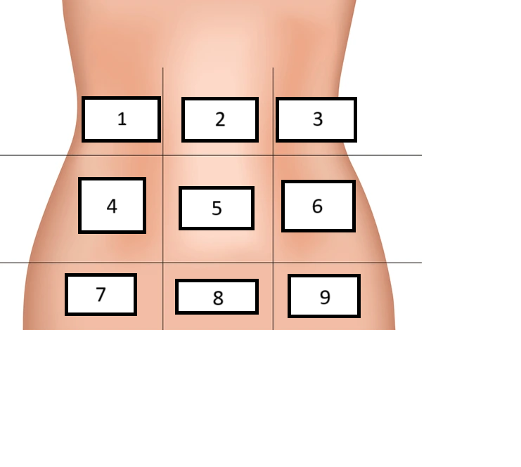 <p>Label region 2</p>