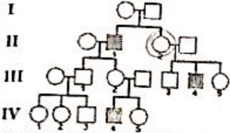<ol start="67"><li><p>Use the following pedigree to answer the following question.</p></li></ol><p>This chart represents the expression of an autosomal recessive disease. Affected individuals are represented by filled in shapes. Males are represented as squares and females are represented by circles.</p><p>If individual II-2 is cross-bred with individual IV-4. What present of their children will be carriers for the disease?</p><p>a. 25% b. 50% c. 75% d. 100%</p>