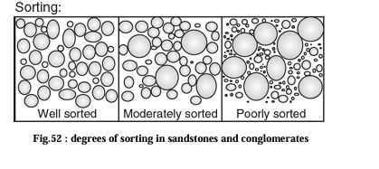 <p>roundness” and “sorting.</p>