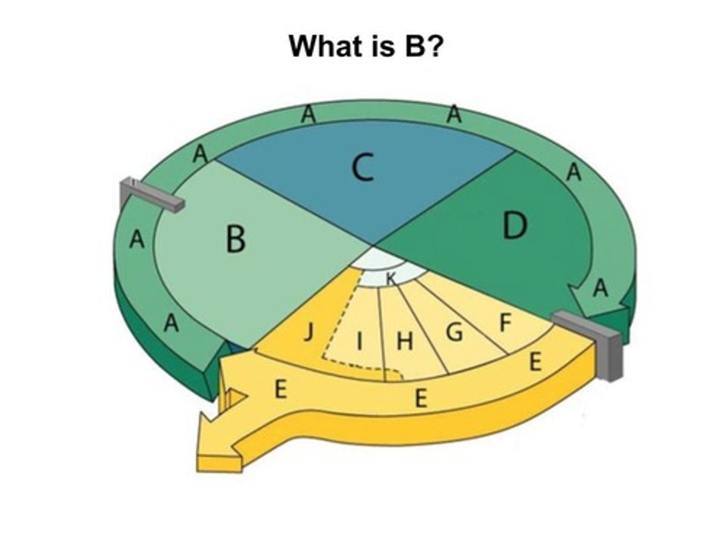 <p>The first gap, or growth phase, of the cell cycle, consisting of the portion of interphase before DNA synthesis begins; the cell increases in size and makes new proteins and organelles</p>