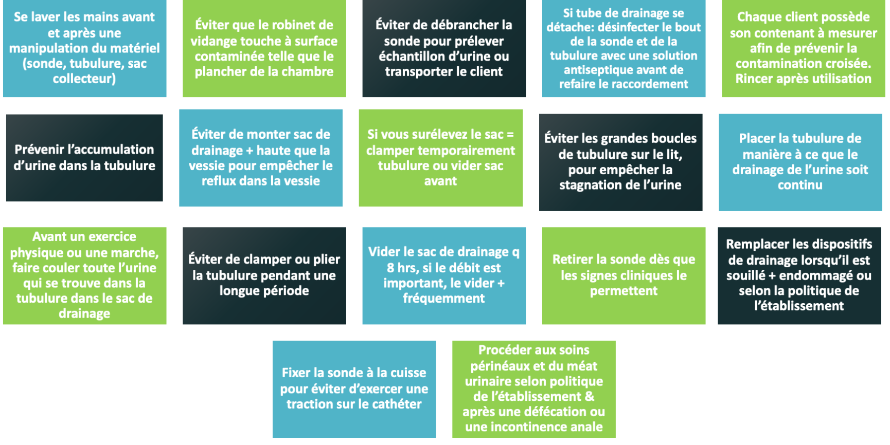            

•**Se laver les mains avant et après une manipulation du matériel (sonde, tubulure, sac collecteur)**

•**Éviter que le robinet de vidange touche à surface contaminée telle que le plancher de la chambre**

•**Éviter de débrancher la sonde pour prélever échantillon d’urine ou transporter le client**

•**Si tube de drainage se détache: désinfecter le bout de la sonde et de la tubulure avec une solution antiseptique avant de refaire le raccordement**

•**Chaque client possède son contenant à mesurer afin de prévenir la contamination croisée. Rincer après utilisation**

•**Prévenir l’accumulation d’urine dans la tubulure** 

•**Éviter de monter sac de drainage + haute que la vessie pour empêcher le reflux dans la vessie**

•**Si vous surélevez le sac = clamper temporairement tubulure ou vider sac avant**

•**Éviter les grandes boucles de tubulure sur le lit, pour empêcher la stagnation de l’urine** 

•**Placer la tubulure de manière à ce que le drainage de l’urine soit continu**

•**Avant un exercice physique ou une marche, faire couler toute l’urine qui se trouve dans la tubulure dans le sac de drainage**

•**Éviter de clamper ou plier la tubulure pendant une longue période** 

•**Vider le sac de drainage q 8 hrs, si le débit est important, le vider + fréquemment**

•**Retirer la sonde dès que les signes cliniques le permettent**

•**Remplacer les dispositifs de drainage lorsqu’il est souillé + endommagé ou selon la politique de l’établissement**

•**Fixer la sonde à la cuisse pour éviter d’exercer une traction sur le cathéter**

•**Procéder aux soins périnéaux et du méat urinaire selon politique de l’établissement & après une défécation ou une incontinence anale**