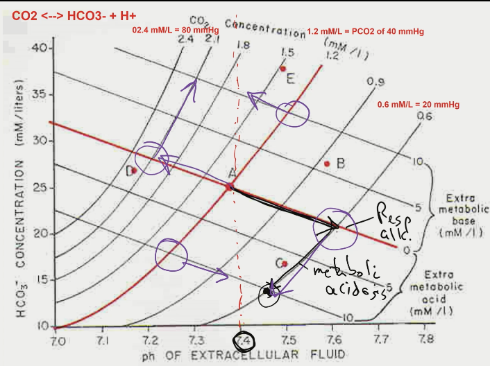1\. acidosis or alkalosis

2\. CO2 normal or not (if CO2 is normal then no respiratory compensation; all metabolic and uncompensated)

3\. if co2 is not normal is it a cause or compensation?

\-- CO2 high - consistent with acidosis so co2 is cause; if alkalosis, then high CO2 indicates compensation

\-- CO2 low - consistent with alkalosis so co2 is cause; if acidosis then low co2 indicates compensation

4\. hco3 differences are greater in compensated states