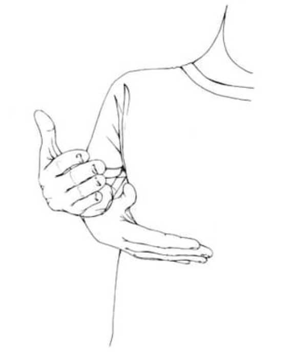 term image