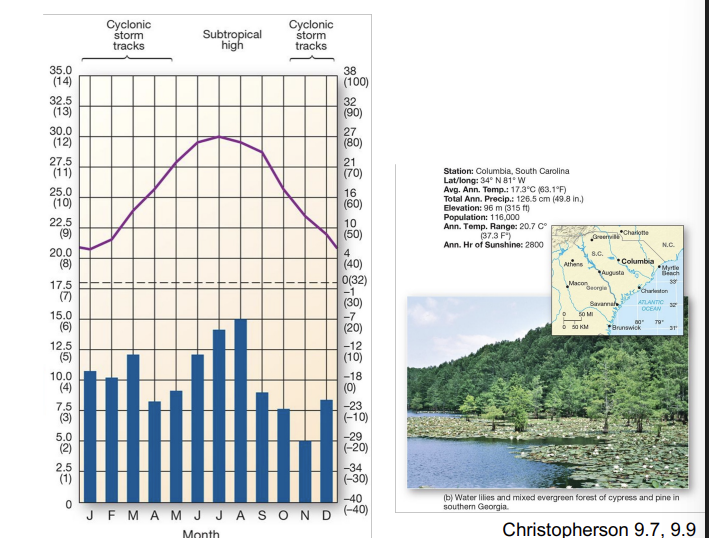 <p>what is an example of a <strong>Cf </strong>climate?</p>