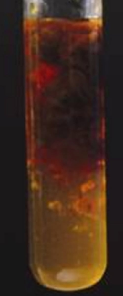 <p>Orange-brown precipitate produced</p>