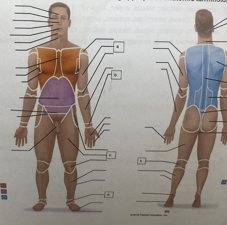 <p>what is C</p>