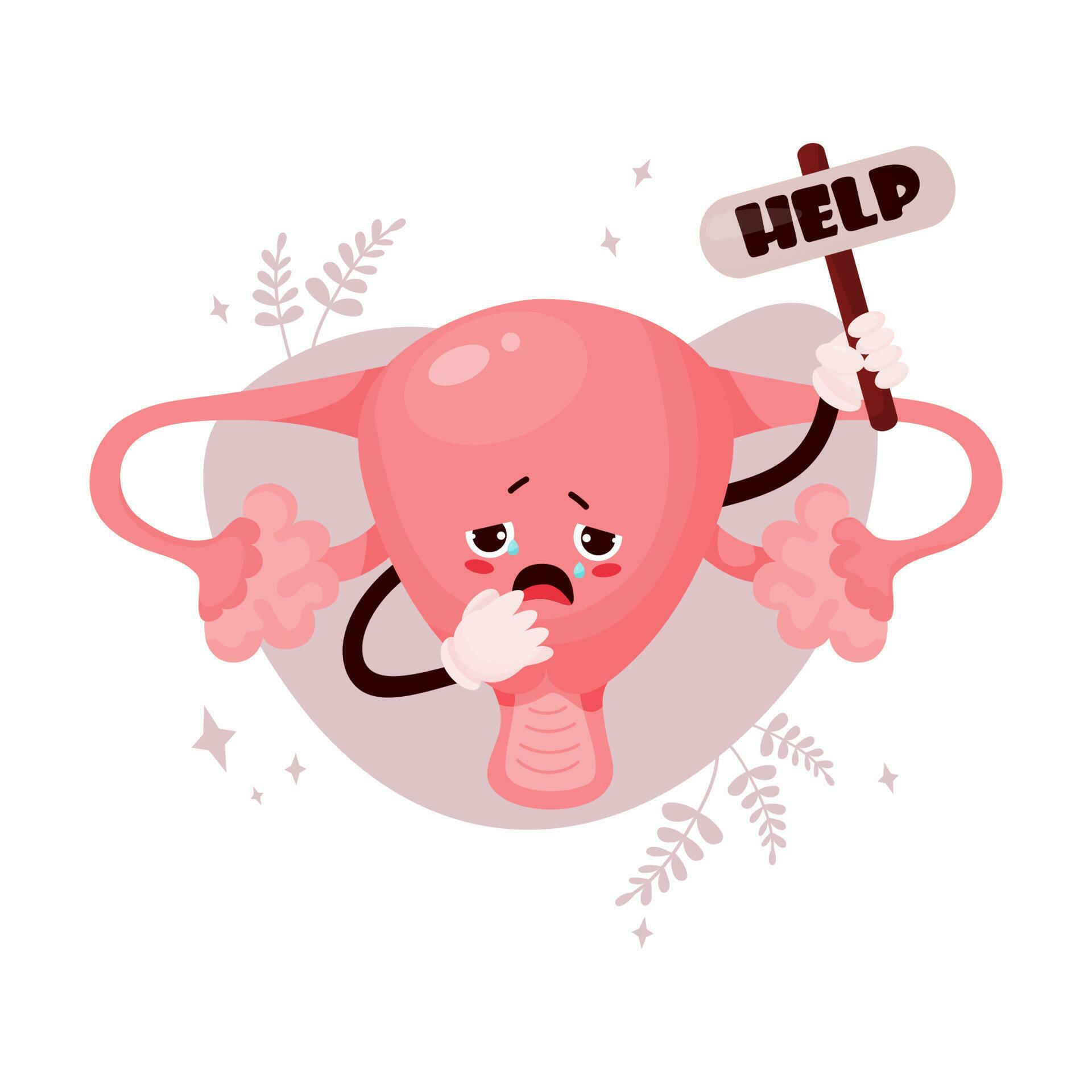<p>uterus</p>