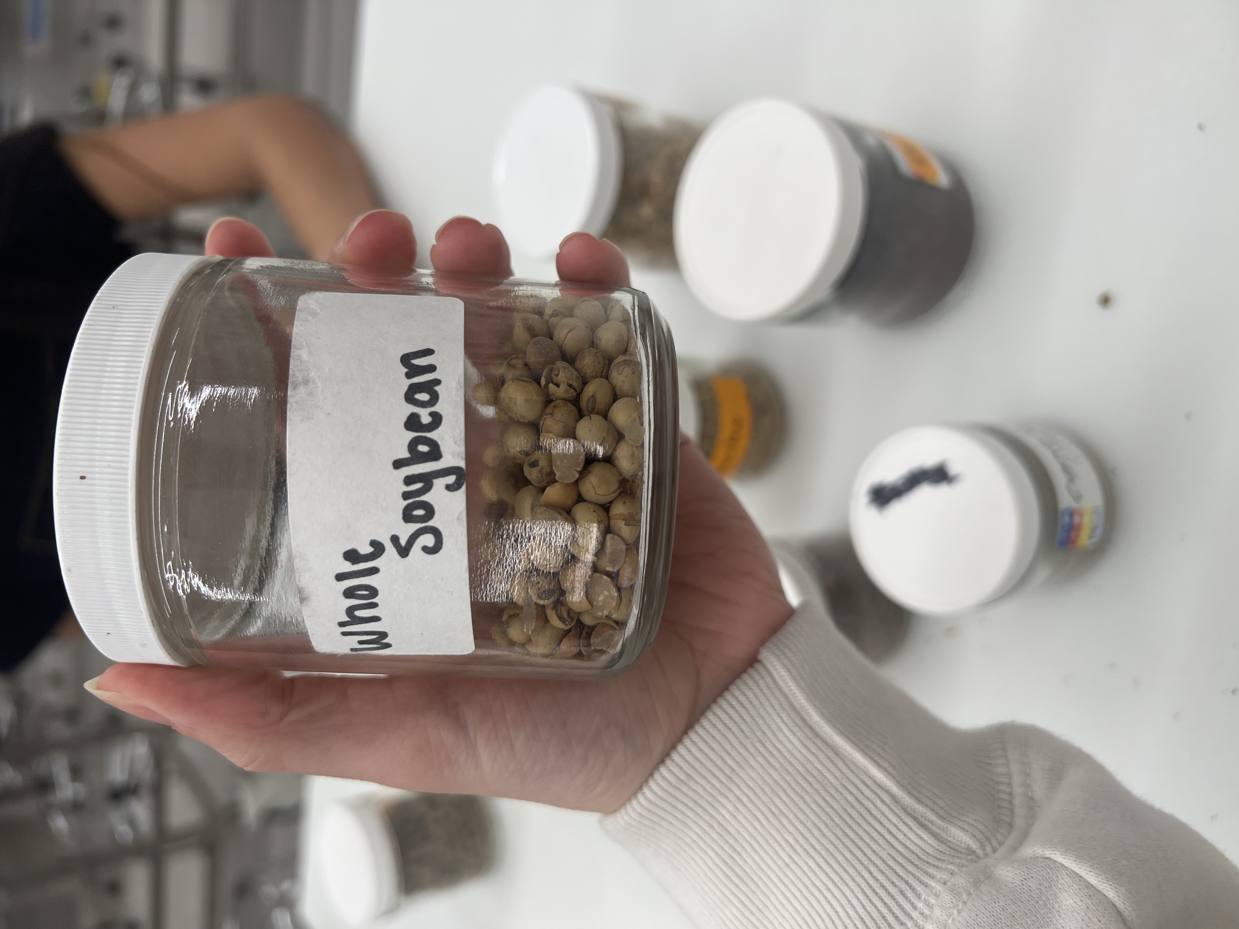 <ul><li><p>IFN # and category: 5 protein source</p></li><li><p>AAFCO category: plant protein product</p></li><li><p>appearance: light brown oval beads</p></li></ul><p></p>