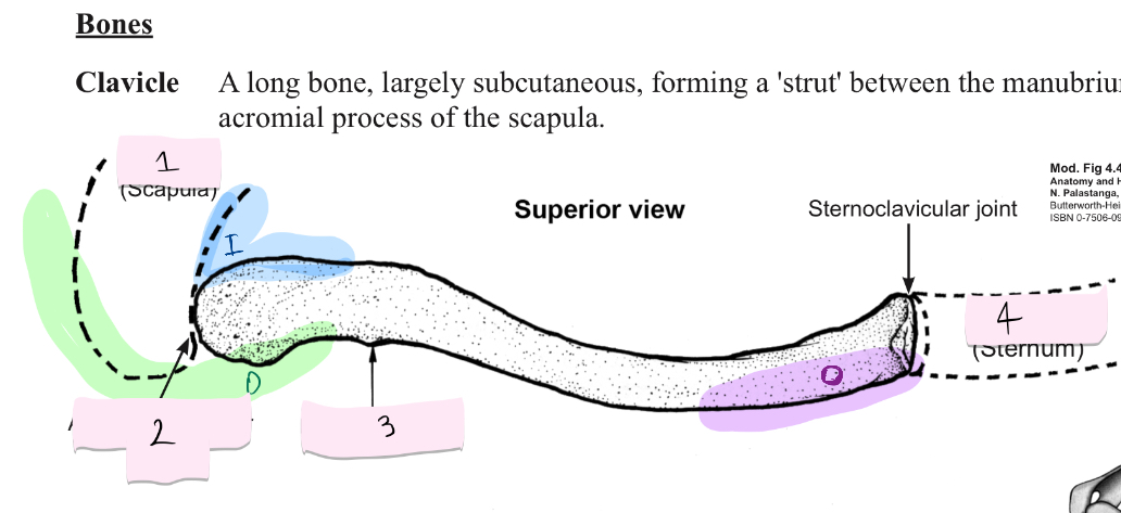 <p>Gives the names of what is covered in 1,2,3 and 4</p>
