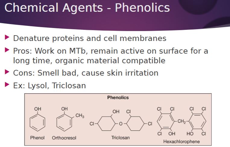 <p>Chemical agents: Phenolic</p>