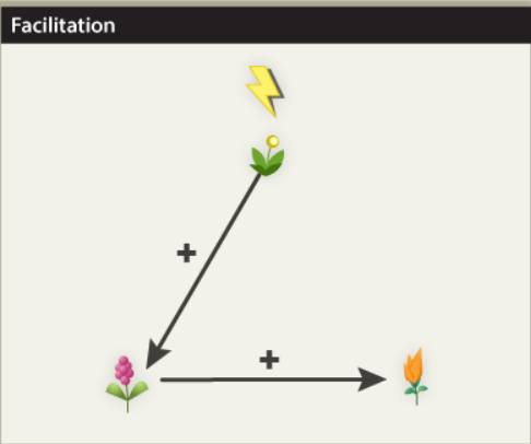 <p>Facilitation</p>