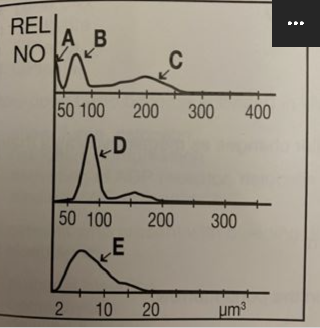 <p>where are granulocytes?</p>
