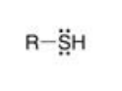 <p><span><span>functional group: -SH</span></span><br><span><span>(mercapto group)</span></span></p>