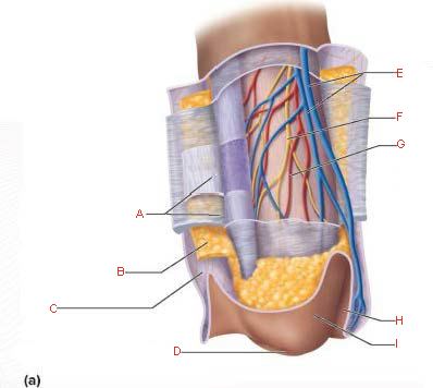 <p>E.</p>