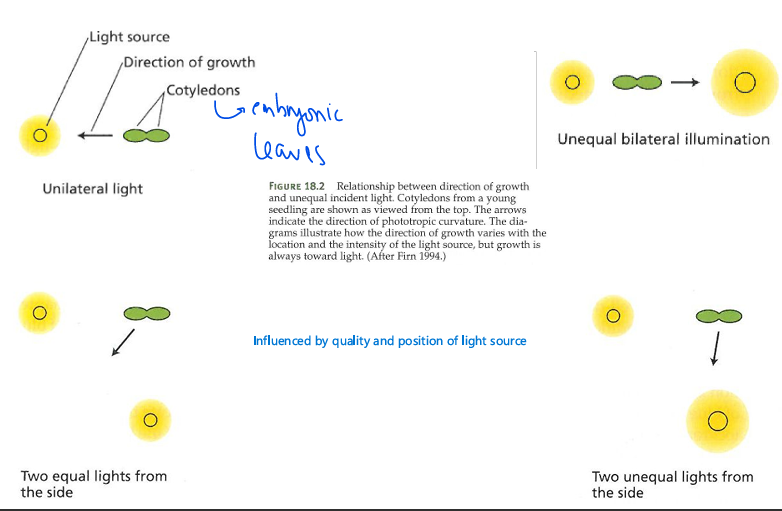 <p>perceive and respond</p>