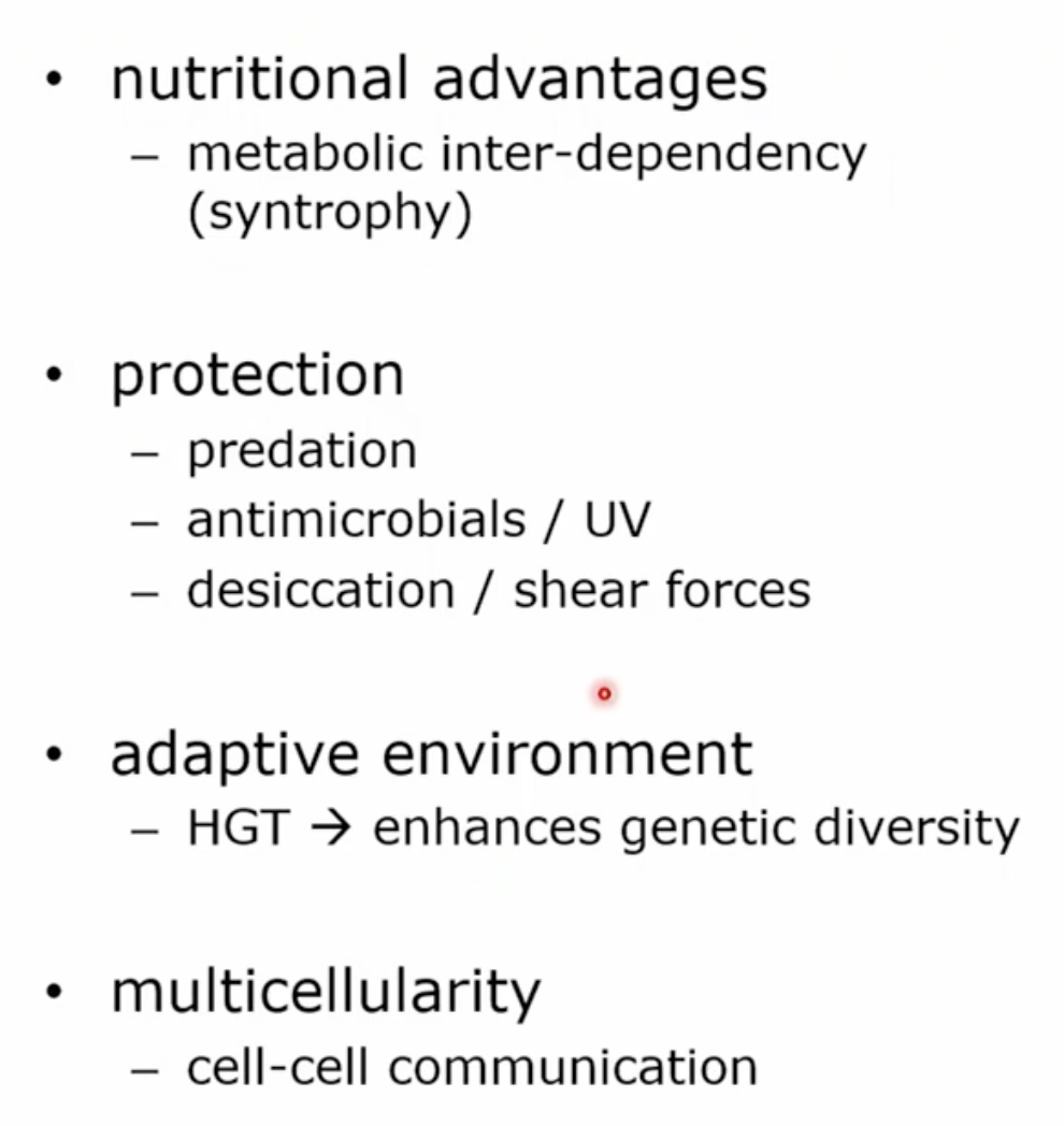 <ul><li><p>nutritional value their are orgniams that can degrade cellusose and a metobolic independency. where one neutricin that isnt that important for one might be important for another (cind trophy)</p></li><li><p>Protection- predation thinks like prodazoa like large eukaryotic orgnaims.</p><ul><li><p>anitmigrobials such as chemicals produced form other oganims. help organims from dieing out</p></li></ul></li></ul><p></p>